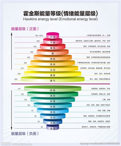 能量表格|霍金斯能量表是什么？